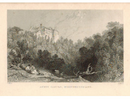 View of  the Country House, Aydon or Ayden Castle, after T. Allom by D. Buckle.