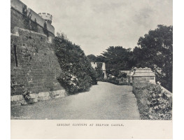 The Century Book of Gardening.