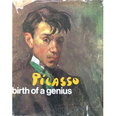 Picasso Birth of a Genius.