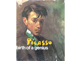 Picasso Birth of a Genius.